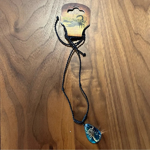 Set of Two Bug Necklaces Beetle and Scorpion Costume Jewelry - Picture 5 of 8